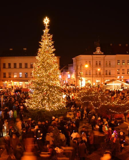 Rozsvícení vánočního stromu