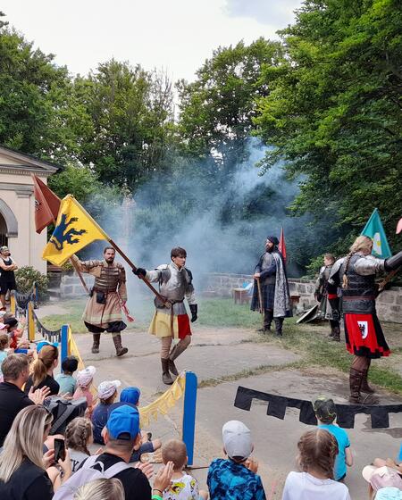 Rytíři na Valdštejně