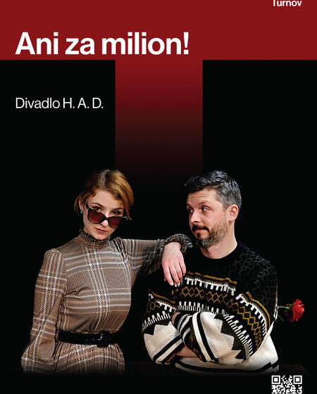 Hodkovické amatérské divadlo (H.A.D.): Ani za milion!