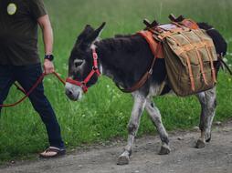 oslí stezka tatobity český ráj