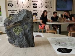 ová geologická expozice v Domě přírody Českého ráje