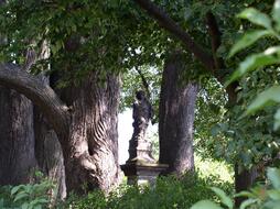 Memorial linden trees in Paceřice