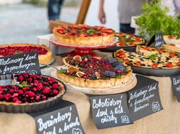 Sousedská slavnost Mnichovo Hradiště