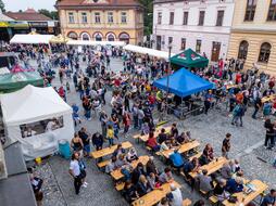 Sousedská slavnost Mnichovo Hradiště