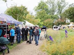 Svatováclavské slavnosti na Zámku Svijany