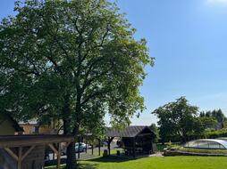 Apartmány Žlutý dům