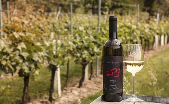 vinařství jacina český ráj