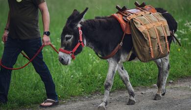 oslí stezka tatobity český ráj