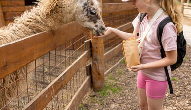 Hrnčířský dvůr ve Zvířeticích