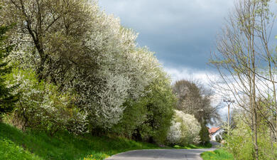 kozákov český ráj