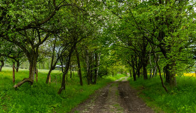 Vazoveckým údolím kolem Drábovny