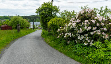 Vazoveckým údolím kolem Drábovny