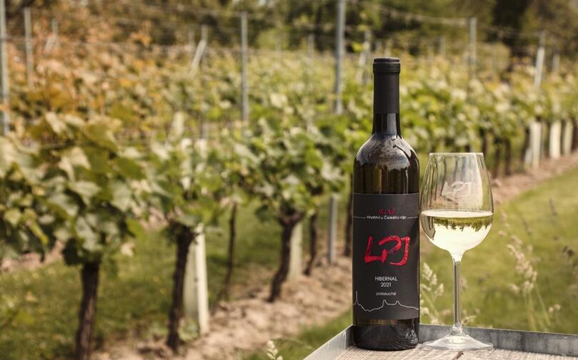 vinařství jacina regionální produkt