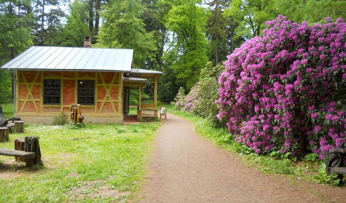 arboretum bukovina cesky raj