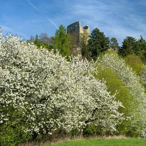 jaro v českém ráji
