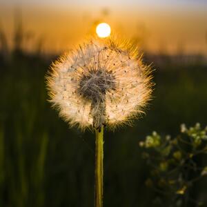 jaro v českém ráji