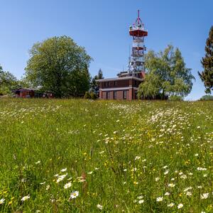 jaro v českém ráji
